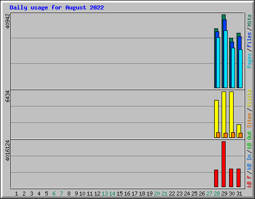 Daily usage for August 2022