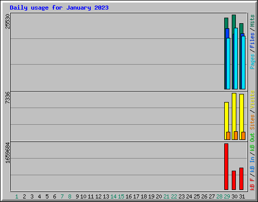 Daily usage for January 2023