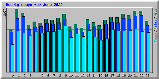 Hourly usage for June 2022