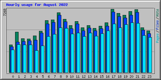 Hourly usage for August 2022