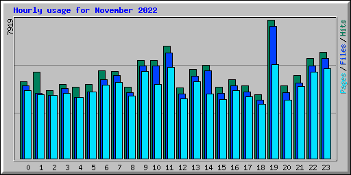 Hourly usage for November 2022