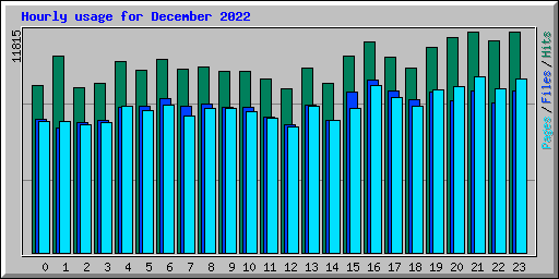 Hourly usage for December 2022