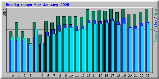 Hourly usage for January 2023